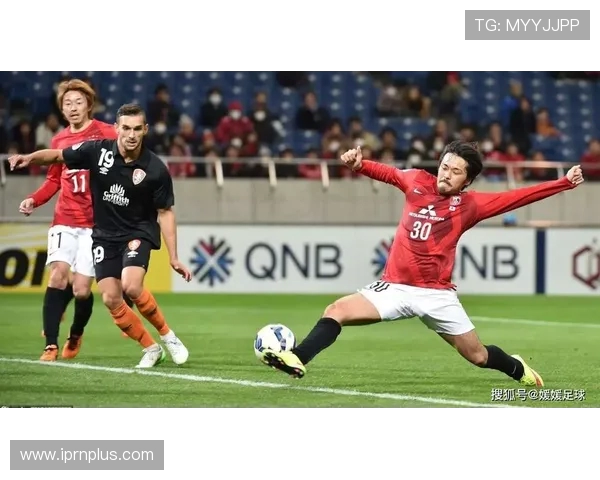 麦克阿瑟FC标志为何选用牛头图案而非与羊毛商人相关的象征 麦克阿瑟FC标志为何选用牛头图案而非与羊毛商人相关的象征