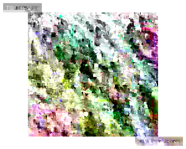 恩加德乌因累计四张黄牌停赛 将缺席国安中超主场收官战